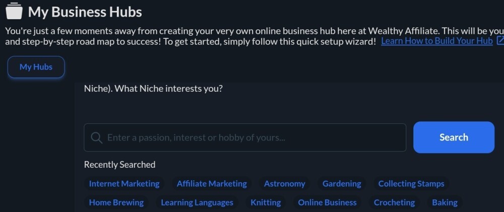Screenshot of business hub showing niche search button.
