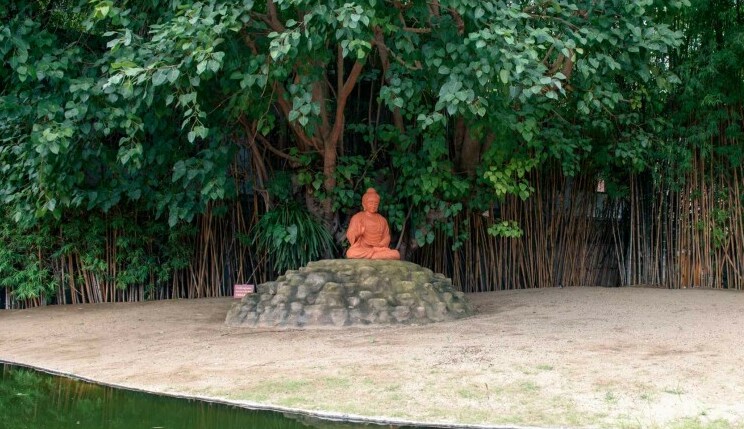 How To Meditate Like Buddha - Buddha sitting under bodhi tree