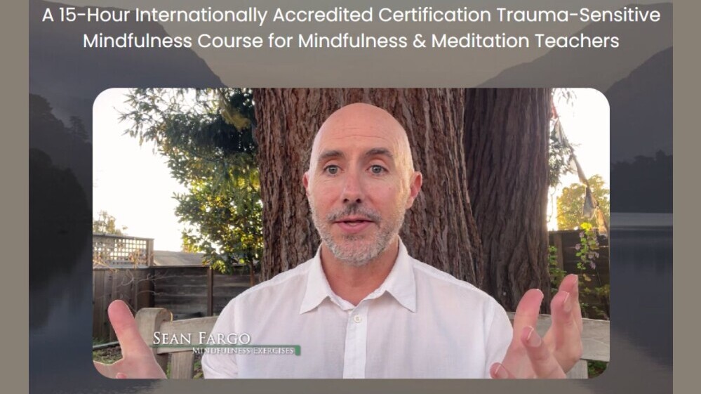 Trauma Informed Mindfulness Training - Course Overview