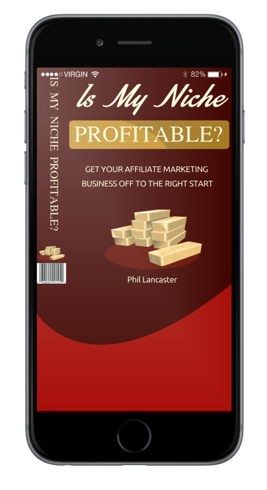 iPhone Screen Is My Niche Profitable