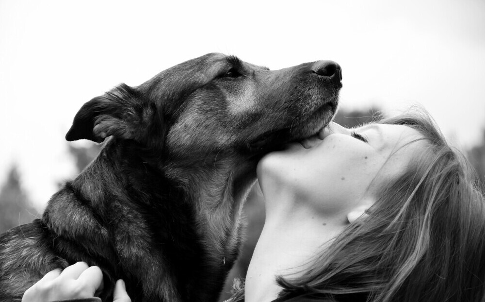 Additional Reflections on Personal Growth Through Dream Work