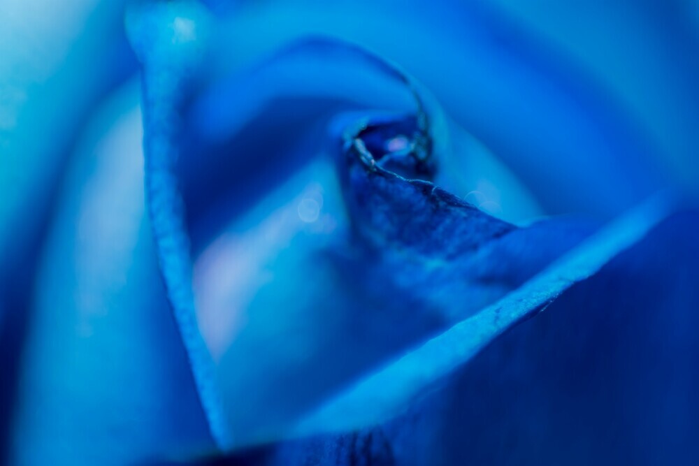 Feeling blue in your dreams doesn't have to mean feeling down. Blue often represents tranquility and peace, symbolizing calm waters and open skies. 