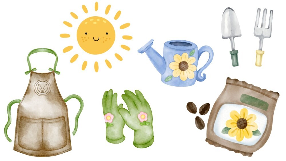 Quick Tips: Growing and Caring for Pink Flowers