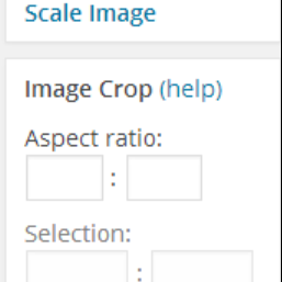 Training Image