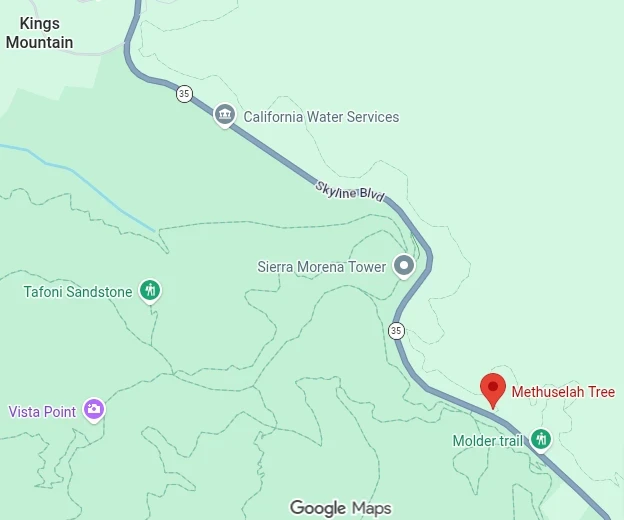 Methuselah Tree on Skyline Blvd Map