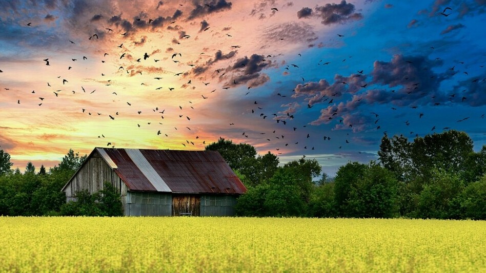 a homestead