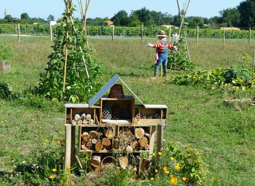 permaculture