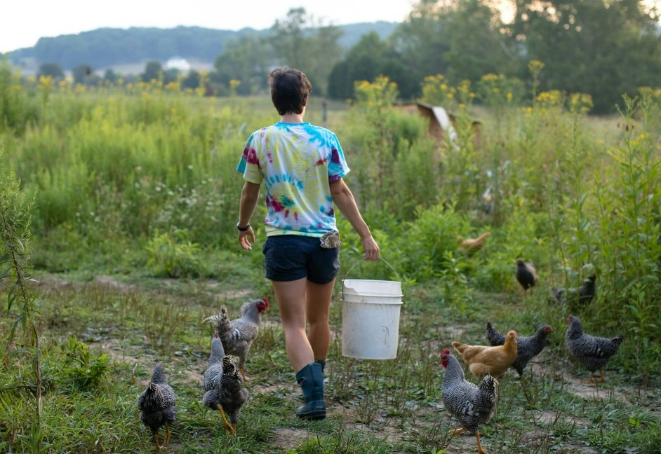 young woman carrying a bucket of feed for her chickens