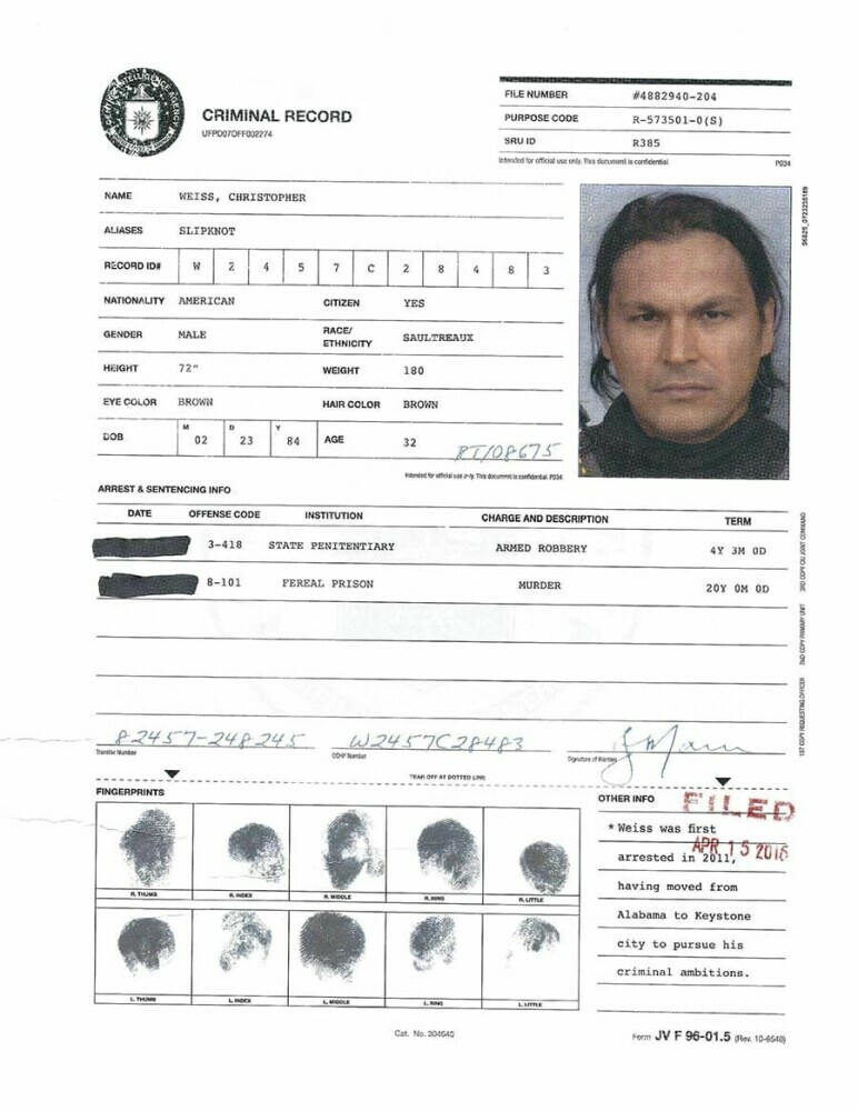 extract from a person's criminal record