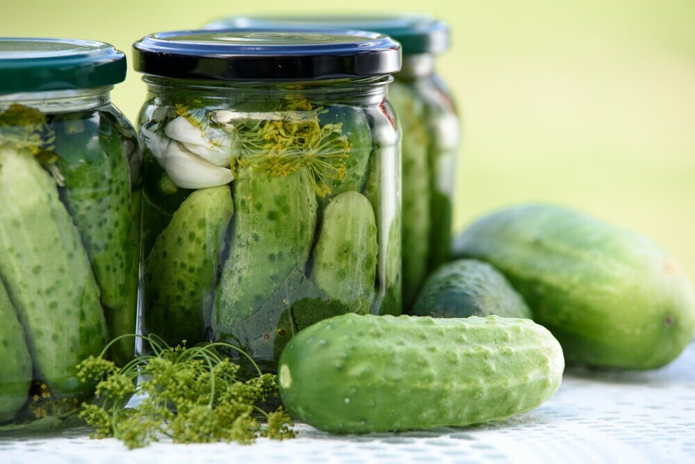 pickling cucumbers