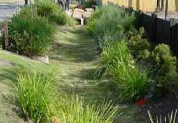 a swale