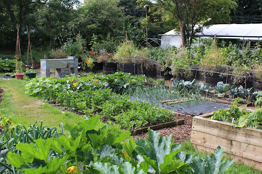 permaculture design