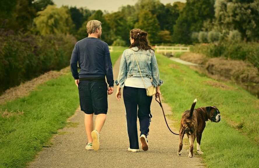 couple walking their dog