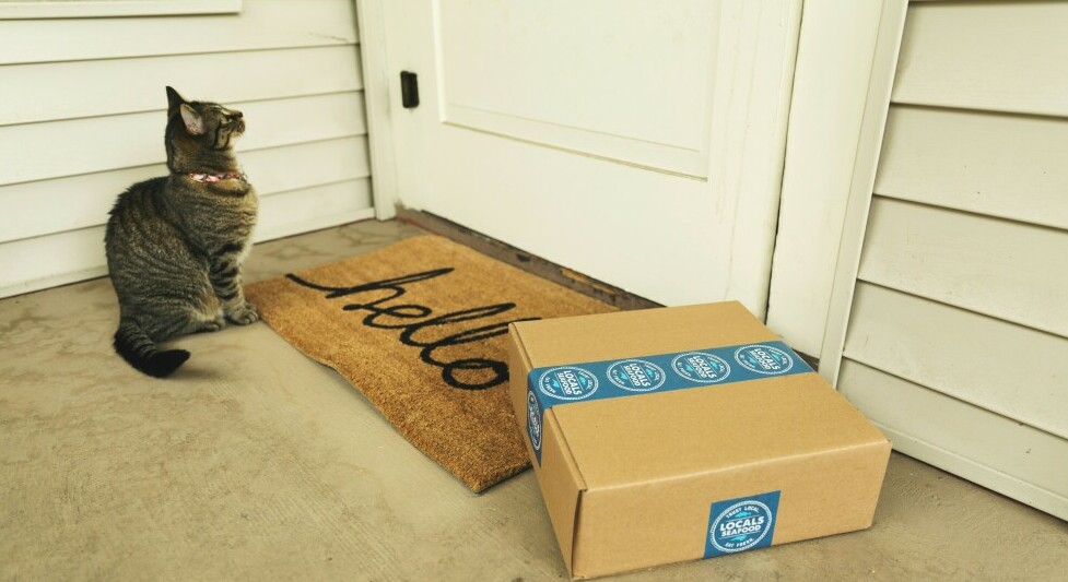 Cat not included