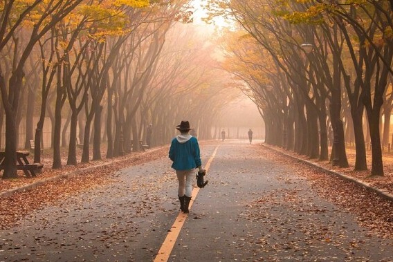 a person walking on a sunlit road with trees on both sides