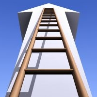 Training Image