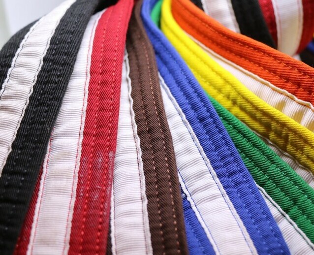 martial arts  rank belts