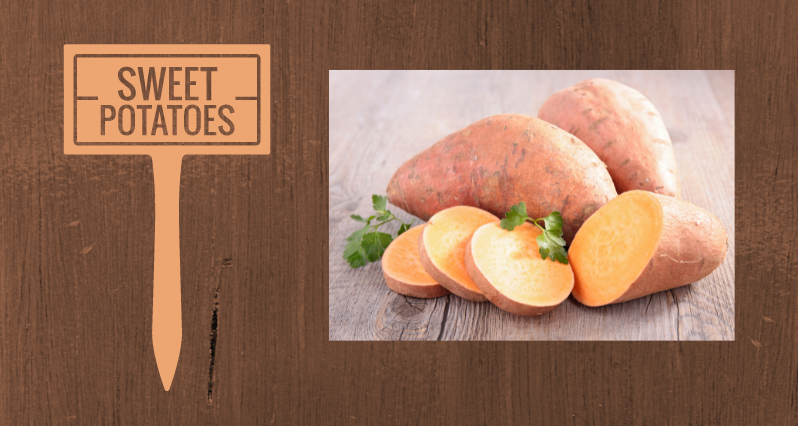 Managing-blood-sugar-with-sweet-potatoes