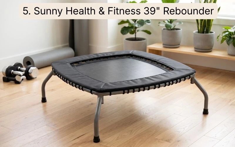 AI Generated Sunny Health & Fitness Rebounder