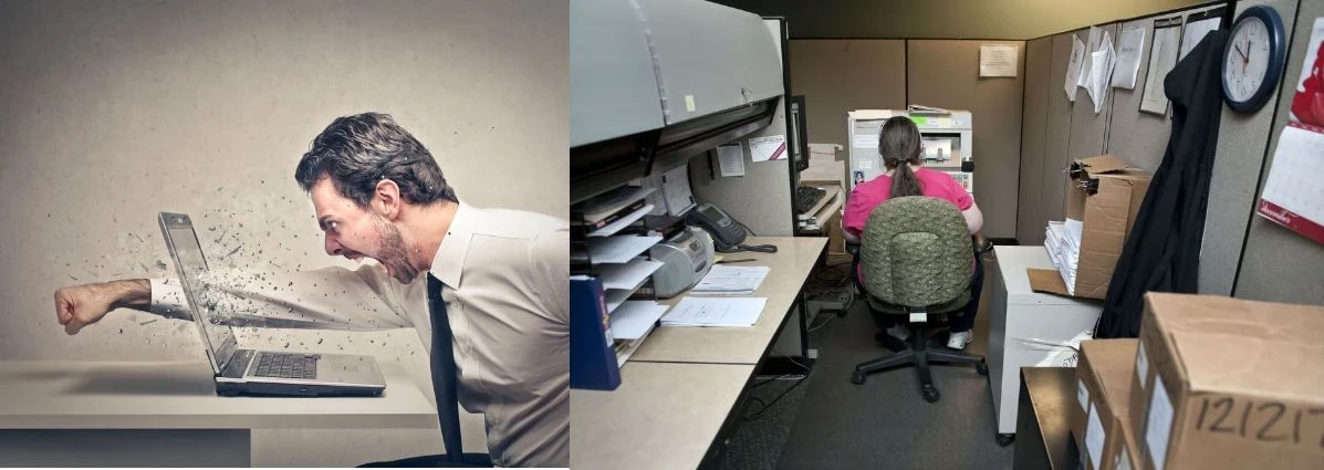 start stop phase in building your business