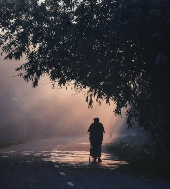 Morning walk for mindfulness