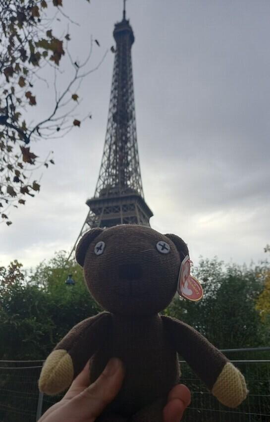 Teddy standing in front of the eifel tower