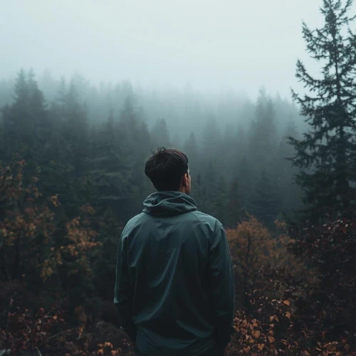 reference 1768300830 display 1768300842 cropped