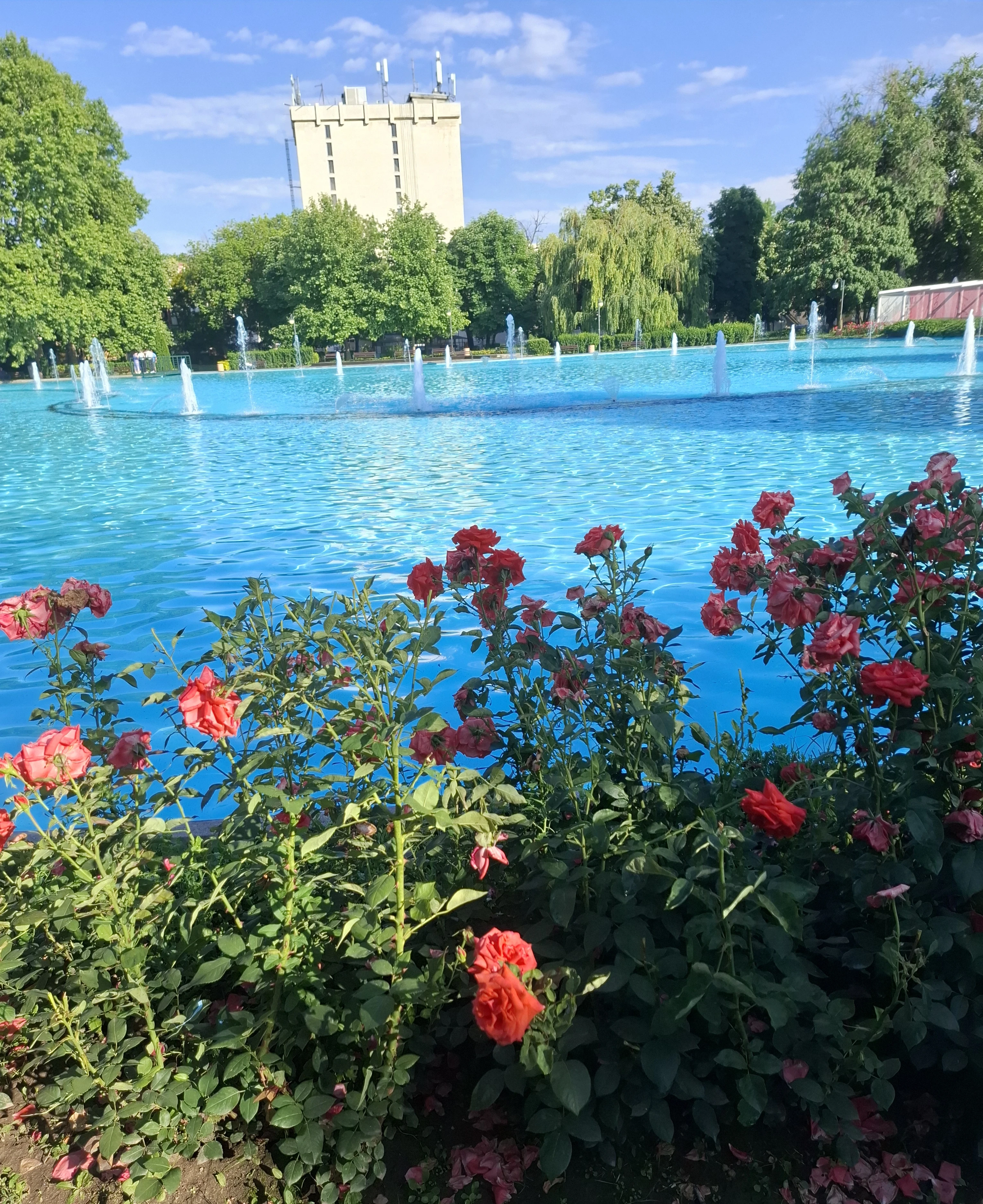 Public lake in the park in Plovdiv Bulgaria with rose bushes