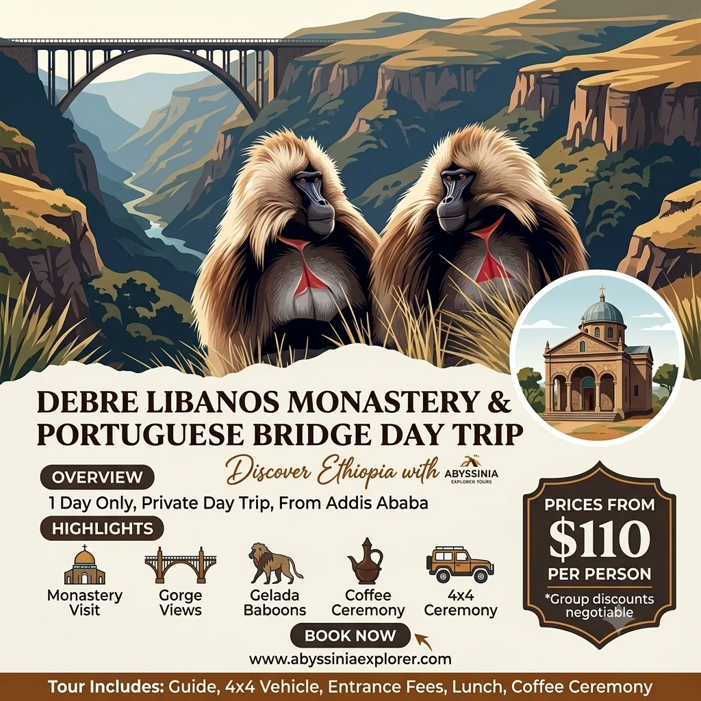 Debre Lebanos Ethiopia Monastery and Gelada Baboons tour