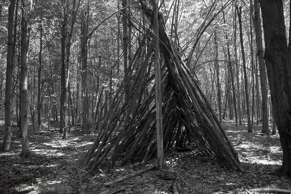 Example of a primitive shelter