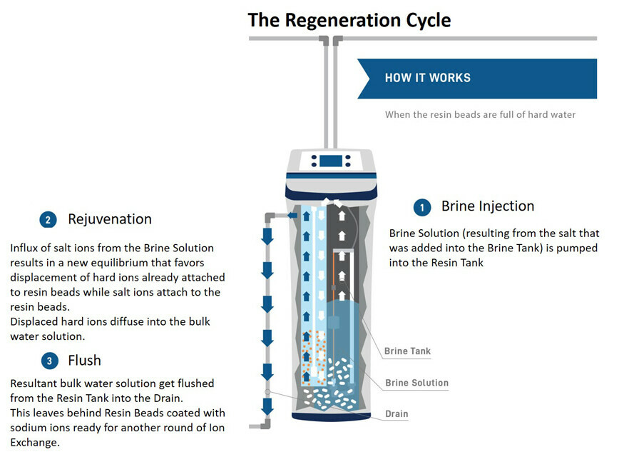 Rejuvenating the resin beads through the regeneration cycle
