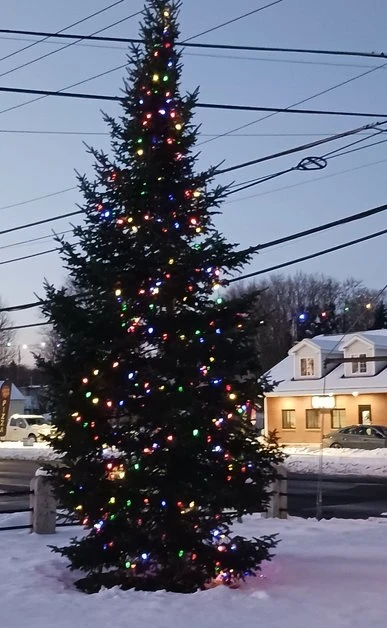 Town Christmas tree