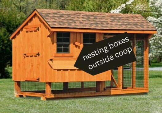 Nesting boxes outside of chicken coop - Chickenmethod.com