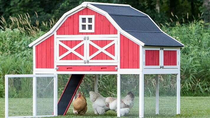 Chickencoop with run beneath - Chickenmethod.com