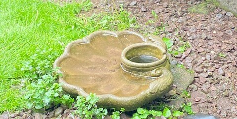 Birdbath - Chickenmethod.com