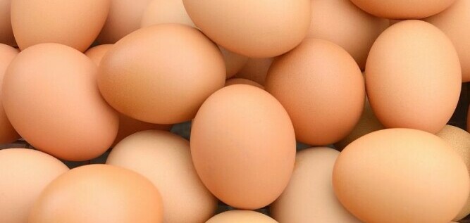 Light Brown Eggs - Chickenmethod.com