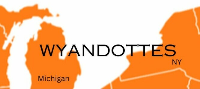Origin of Wyandottes in Michigan and New York - Chickenmethod.com