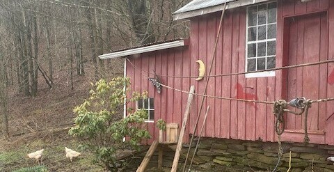 Chicken coop and rhododendron - Chickenmethod.com