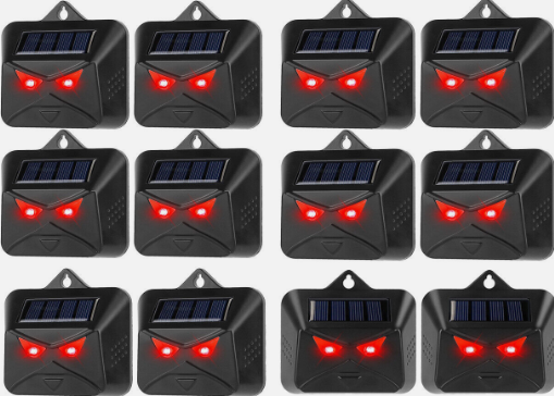 12 Pack Solar Control Light Nocturnal Animal Repeller -Chickenmethod.com