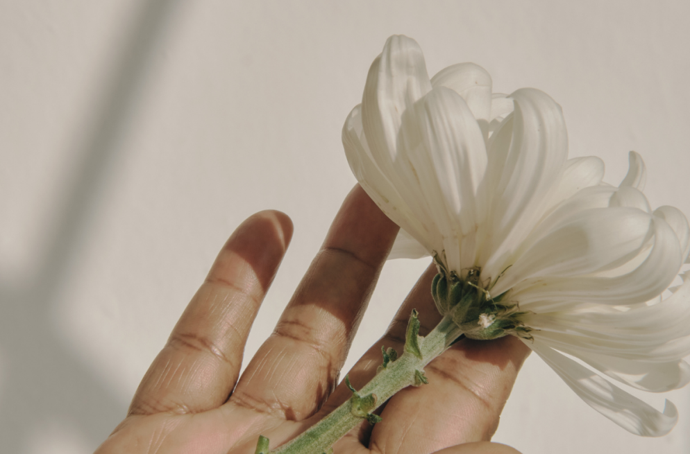 hand holding a flower