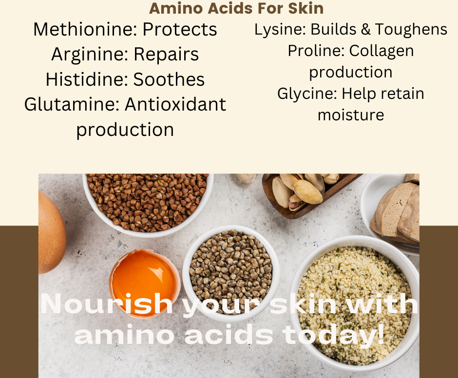 List of amino acids for skin