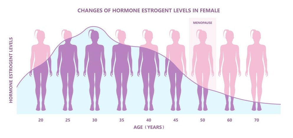 chart of how estrogen decreases with age