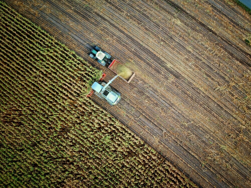 agricultural worker