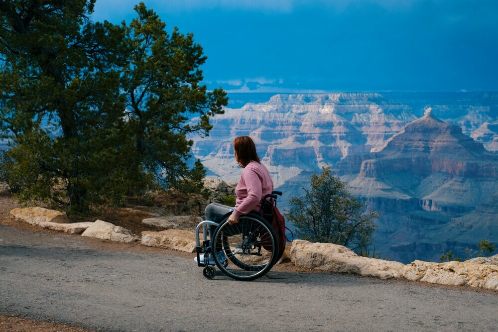 person in wheelchair with background scenery