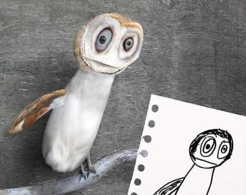 owl