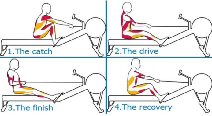 Rowing Techniques