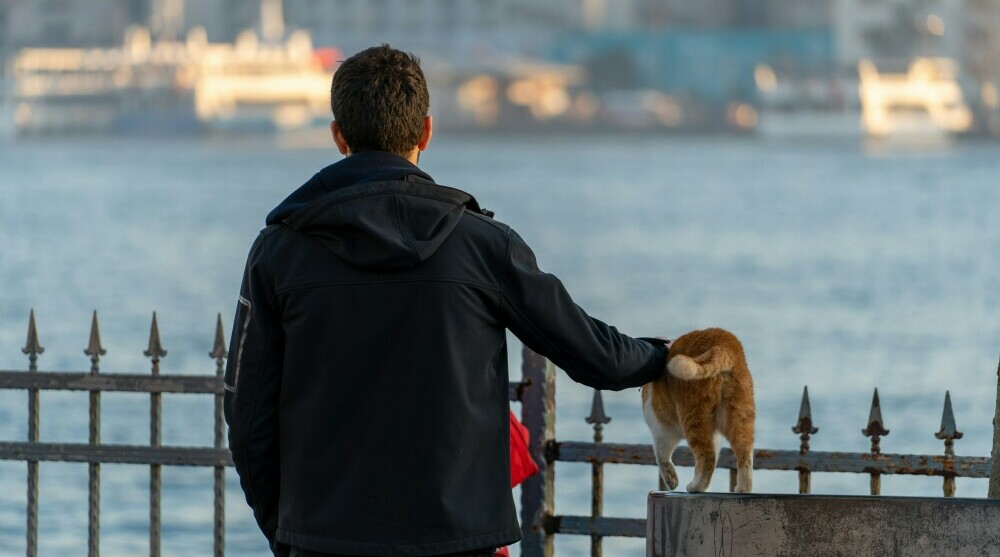 Man petting a cat on a dock looking out to the sea