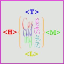 Training Image