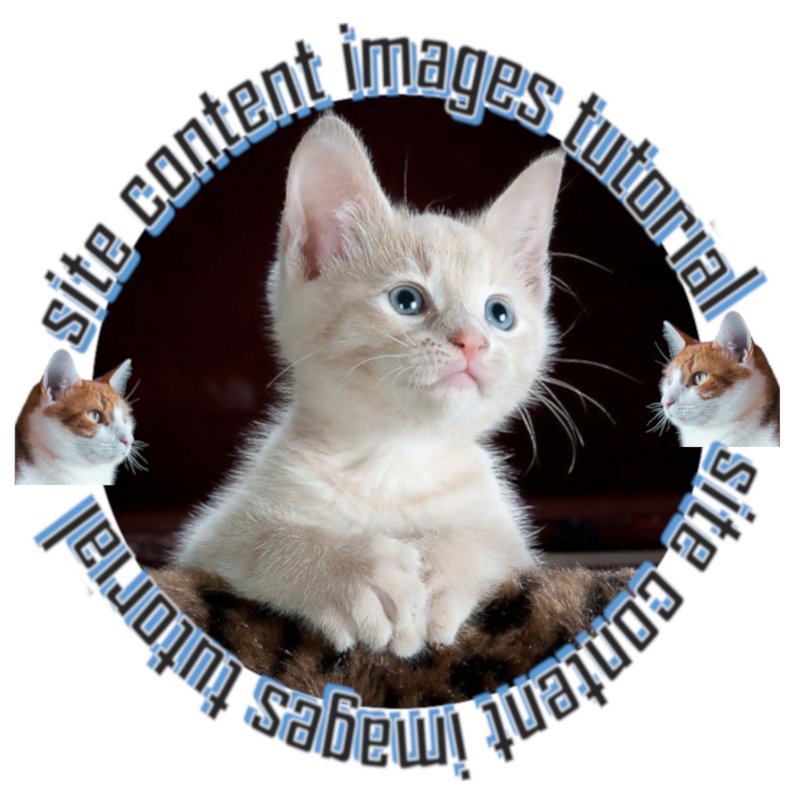 Training Image