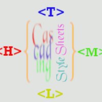 Training Image